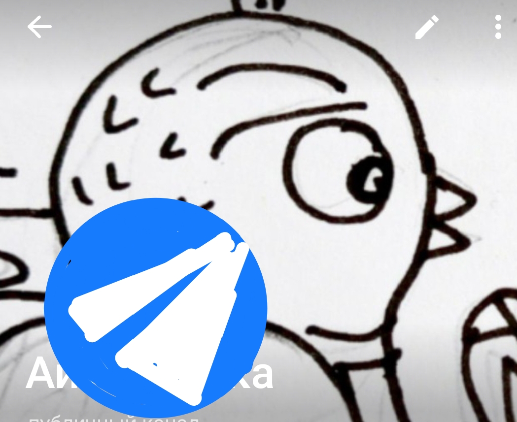 Айтиптичка